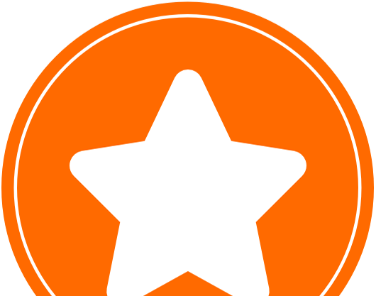 enCode reView Services Icon